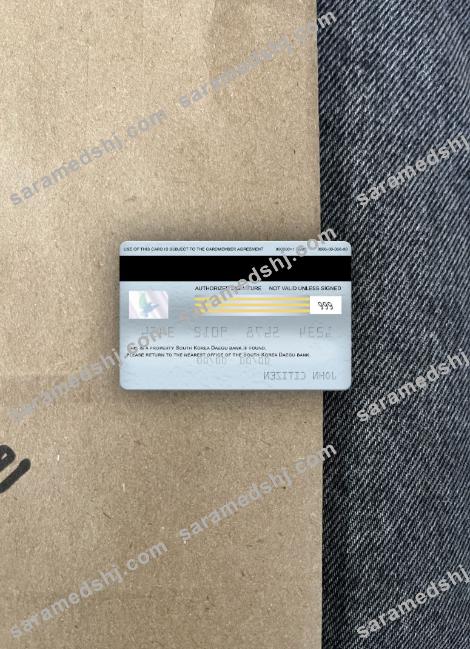 South Korea Daegu bank visa electron card photolook back